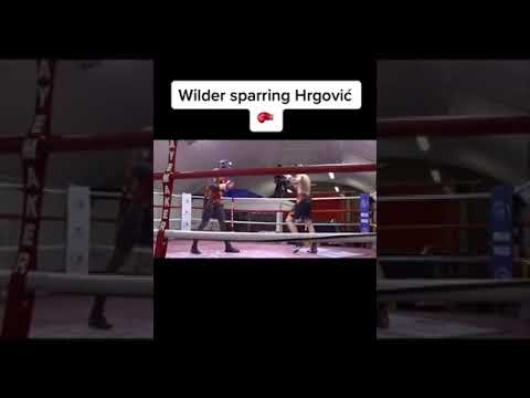 Wilder Sparing Hrgovic