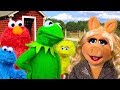 Kermit the Frog meets Miss Piggy at the Petting Zoo! Ft Elmo, Cookie Monster & Big Bird