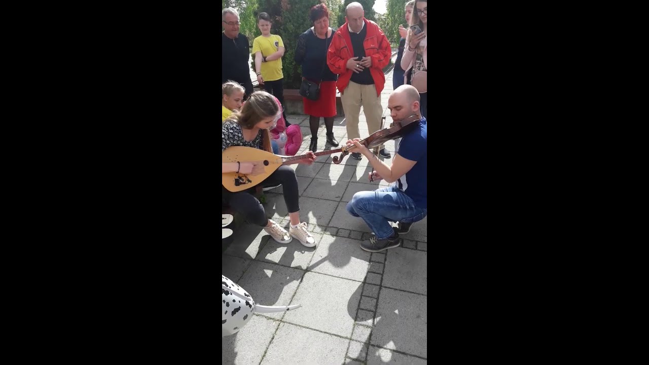 Kolo u Derventi (2019)