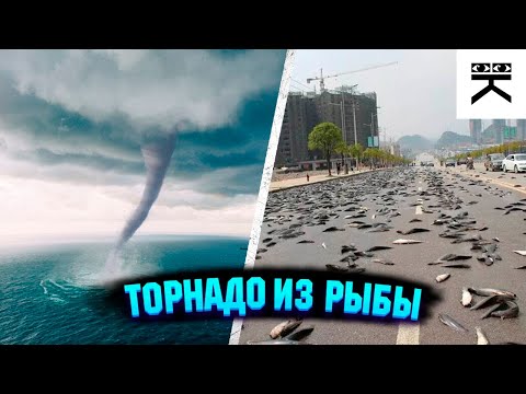 Видео: Дождь прекращается перед торнадо?