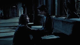 harry potter and sirius black being precious