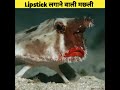 Lipstick लगाने वाली मछली 😱|Tagda Facts
