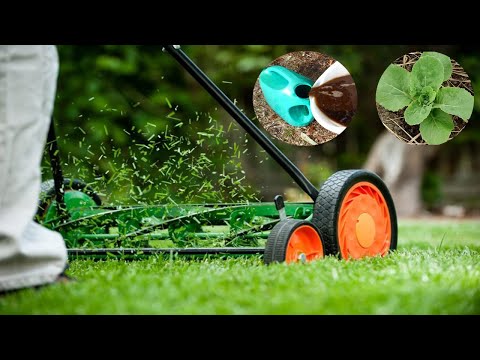 Video: Grass Clipping Garden Mulch - Paggamit ng Sariwa O Dried Grass Clippings Bilang Mulch