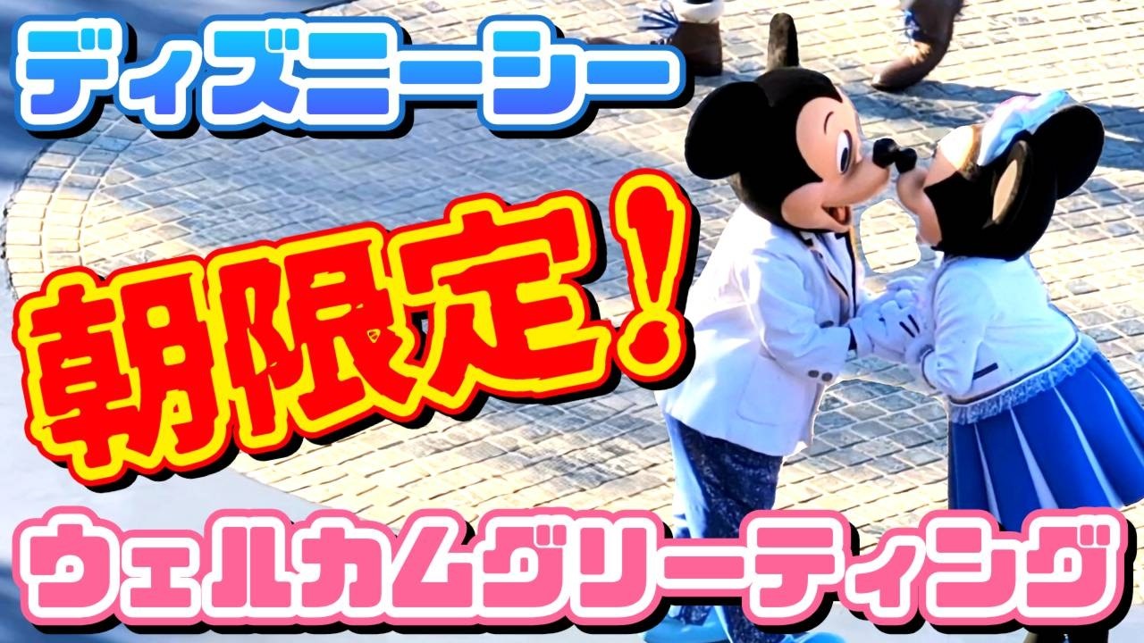 ディズニーシーウェルカムグリーティング　朝限定でしか見れないミッキー達🎵　【夢の国の住人】