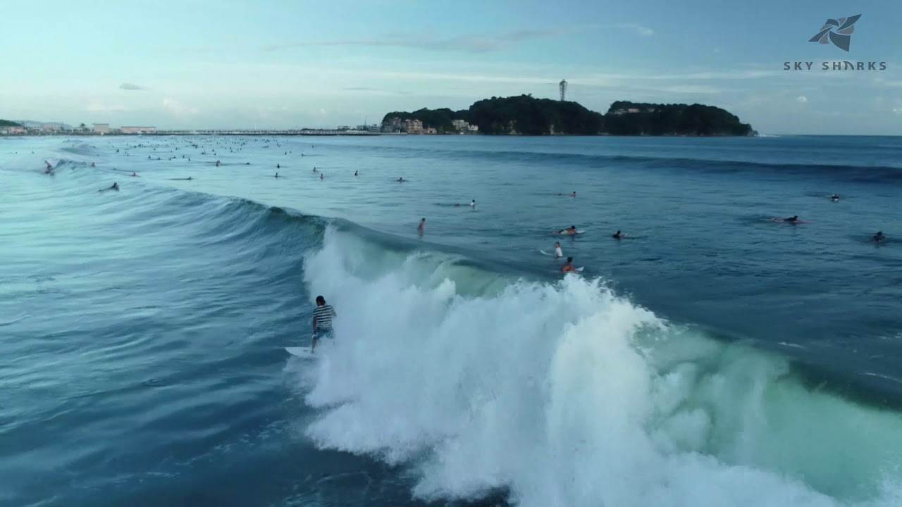 湘南 海岸 波 情報