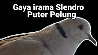 Perhatikan inilah Gaya irama Slendro puter pelung