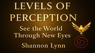 Levels of Perception | How You See the World Shapes What You Manifest