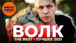 Волк - The Best - Лучшее 2021