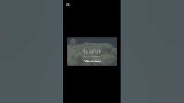 سورة الشعراء الآية 78 لشيخ ياسر الدوسري