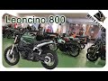 Benelli Leoncino 800 | Mega Motortreffen 2022 | First Impression