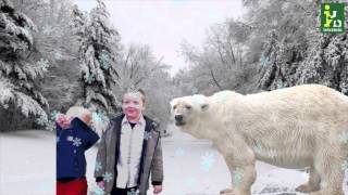 Fijne Feestdagen Vanuit Intratuin Lochem Beek