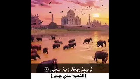 سورة الفيل بصوت الشيخ علي جابر رحمه الله