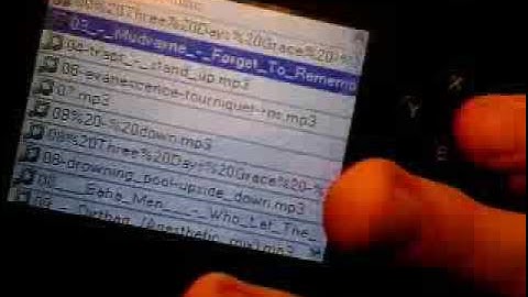 R4i Review On Dsi Version 1.4