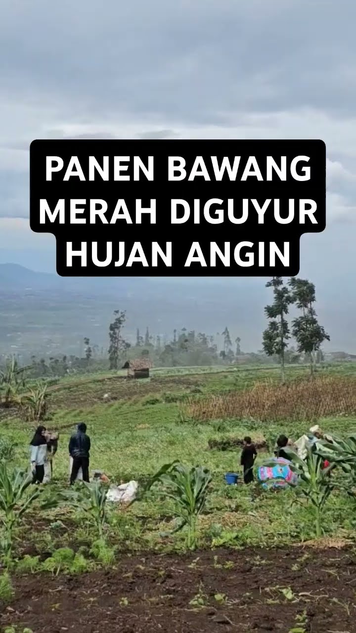 Hujan Di Barugantung Garut.