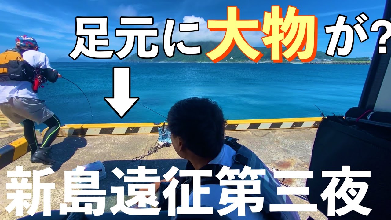 【堤防】足元で無限に魚が釣れ続ける海がやばすぎた！！！新島遠征第三夜