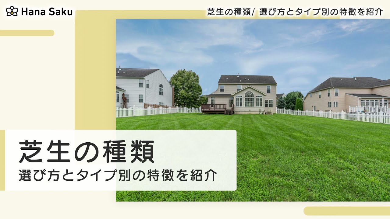 芝生の種類と選び方 タイプ別の特徴を知ってすてきな庭にしよう Hanasaku