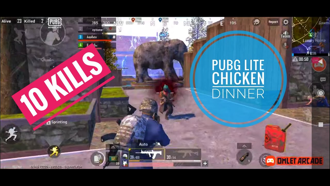 RawDee GAMING - PUBG MOBILE LITE : live stream