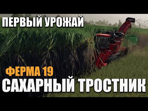Видео: Всё о "Сахарный тростник" в farming simulator 2019 - Уборка, Продажа Тростника