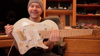 custom abasi 8 string cat guitar
