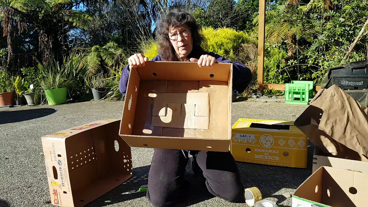 Banana Box into Transport for Hen Rescue