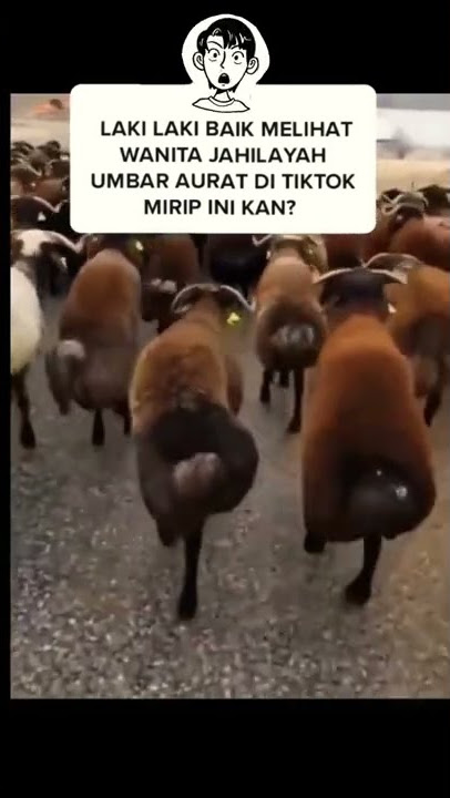 very funny, entertaining humor 🤣😅😁 #viral #viralvideo #viralshort #viralvideos #tiktok #tiktokvideo