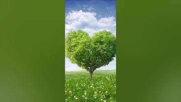 صوت يريح القلب/ صوت خاشع وصافي|تلاوة ما تيسر من سورة النمل