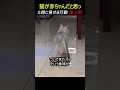 第二弾, 猫が赤ちゃんだと思った時に見せる行動