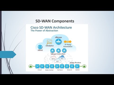Cisco Viptela SD WAN Components