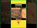 Reggae Royalty Pinchers Performing Live at Sting Jamaica 1988 #Music #shorts