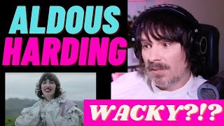 NEW FAN&#39;S first REACTION to ALDOUS HARDING - ZOO EYES