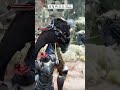 THE ELDER SCROLLS SKYRIM SHORTS - 374 #elderscrolls #skyrim #bethesda #스카이림