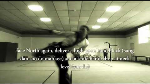 Tang Soo Do; Pyung Ahn Sa Dan