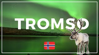 TROMSO: Best place to see NORTHERN LIGHTS