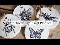 Air Dried Clay Insect plaques