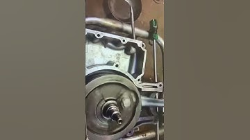 Bullet crank Balance live Kruger