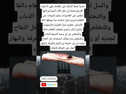 عندما تحط الذبابة على طعامك فهي لا تجلب الإزعاج فقط بل تنقل آلاف الجراثيم