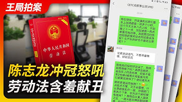 陈志龙冲冠怒吼，劳动法含羞献丑｜陈志龙｜微信群｜加班｜996｜劳动法｜中科电｜工会｜王局拍案20230407