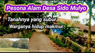 Pesona  Alam Desa Sido Mulyo. Tanahnya subur warganya hidup makmur @yoesandesto3354