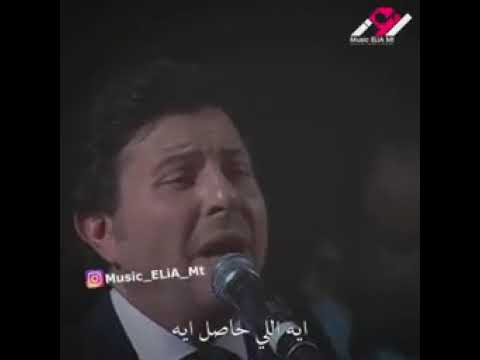 هاني شاكر في كل شارع