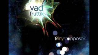 Video thumbnail of "Vad Fruttik - Diszkós"