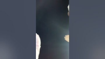 ما تيسر من سورة الواقعة لفضيلة الشيخ د. عبدالباري بن عواض الثبيتي فجر ١٤٤٢/٩/٢٦ تسجيل داخل الحرم