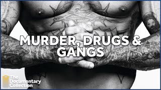 Exposing New Zealand's Criminal Underworld | The Documentary Collection by The Documentary Collection 6,934 views 1 year ago 44 minutes