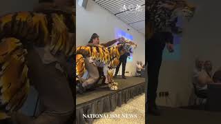Just look at that tiger! Absolutely mesmerising 😮🫐🍎 #viralvideo #amazing #tiger #viralshorts
