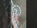 “Super Italian Hitch | Perfect Hitch for Smooth Rappelling”
