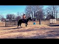FIRST RIDE on a NEW HORSE