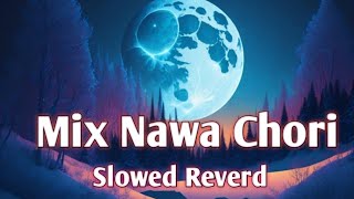 Mix- Nawa - Chori ! Bikash  koushik || Anima Tanti Adivasi jumor song 2023|| Slowed Reverb Song||
