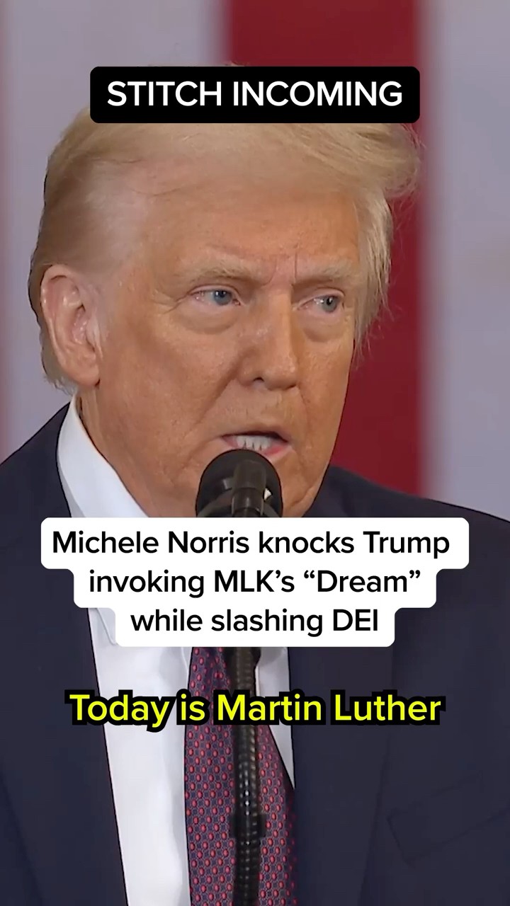 Michele Norris knocks Trump invoking MLK’s 'Dream' while slashing DEI