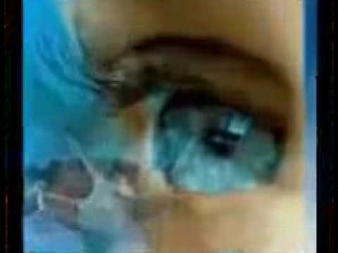 Berserkr — SOUTHERN VISION - Berserkr