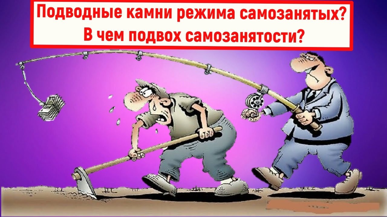 Подводные камни режима самозанятых. В чем подвох самозанятости? - YouTube