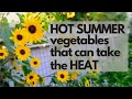 HOT SUMMER Garden Vegetables - which vegetables can take the HEAT of an Arizona summer?